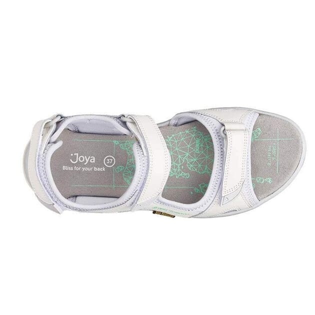 komodo hvit2.jpg